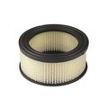 Briggs & Stratton Air Filter 392286